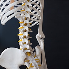 Elite Chiropractic Spinal Disc Wenatchee WA