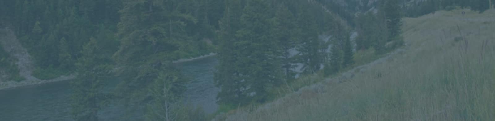 Elite Chiropractic Testimonials Wenatchee WA