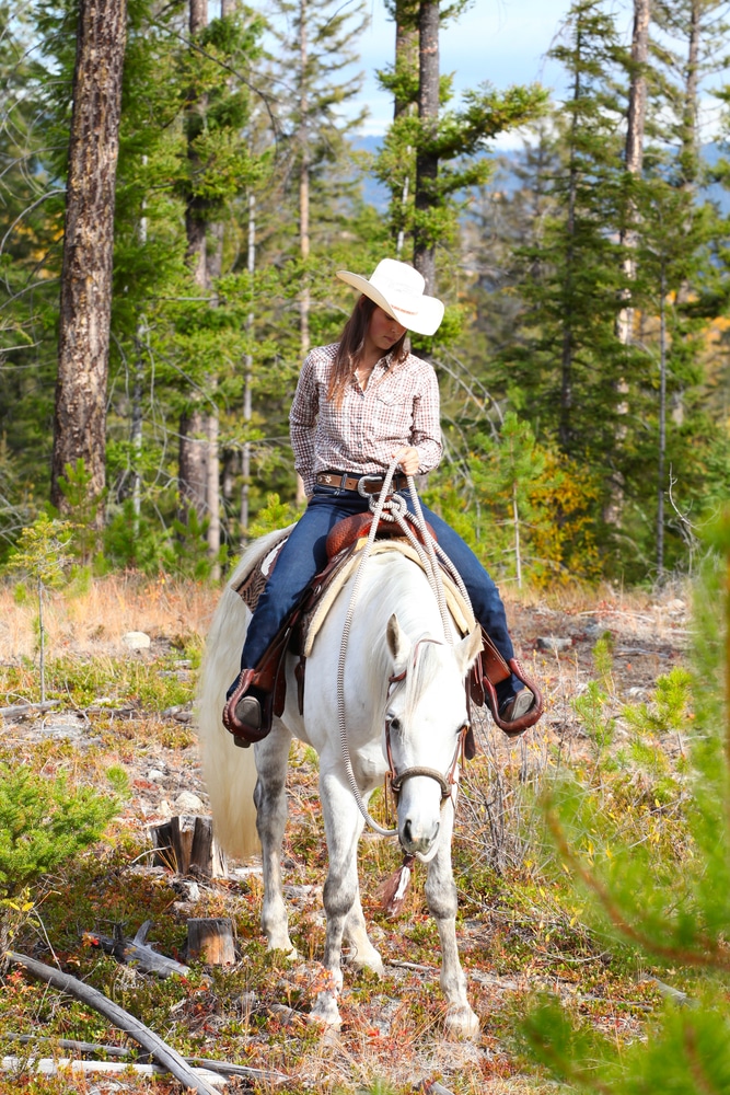 The Equestrian'S Spine: Chiropractic Care For Horseback Riders chiropractic care horseback rider
