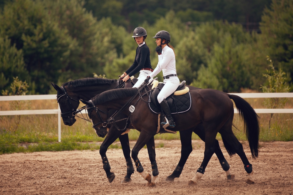 The Equestrian'S Spine: Chiropractic Care For Horseback Riders Elite Chiropractic Chiropractic Care Wenatchee WA