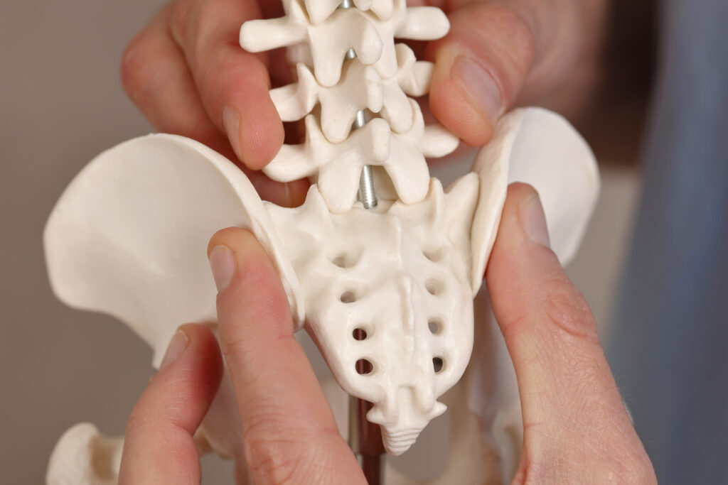 All About Tailbone Pain: 3 Easy Ways To Decrease Discomfort All About Tailbone Pain: 3 Easy Ways To Decrease Discomfort