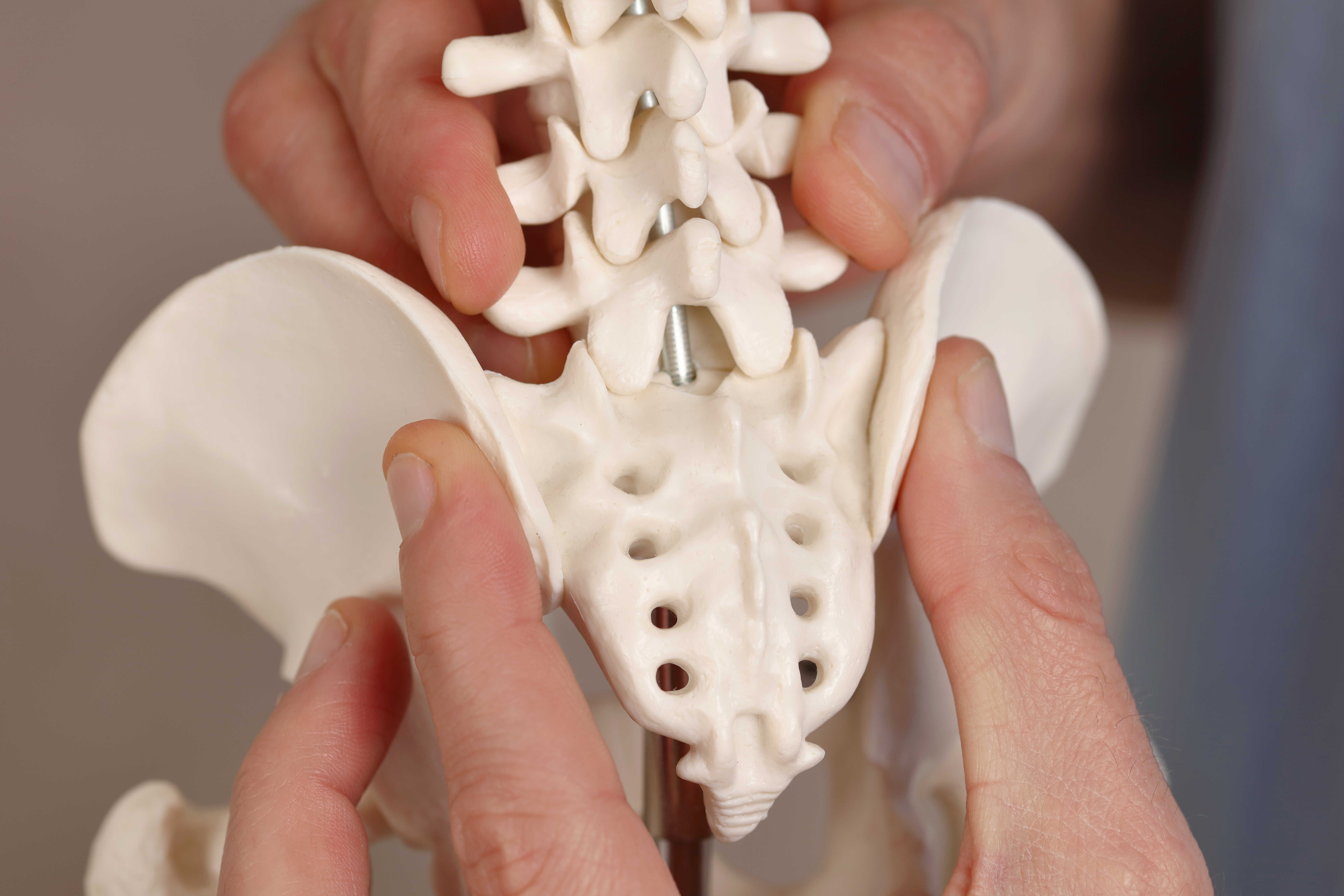 All About Tailbone Pain: 3 Easy Ways To Decrease Discomfort Elite Chiropractic Tailbone Pain Wenatchee WA